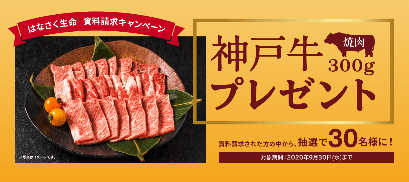 はなさく生命 資料請求キャンペーン 神戸牛焼肉300gプレゼント